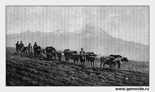 Армяне-землепашцы близъ Алагеза (Эриванской губернiи)